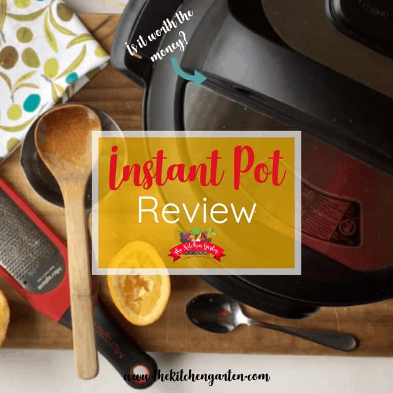 instant pot review