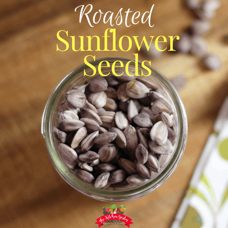 roasted sunflower seeds