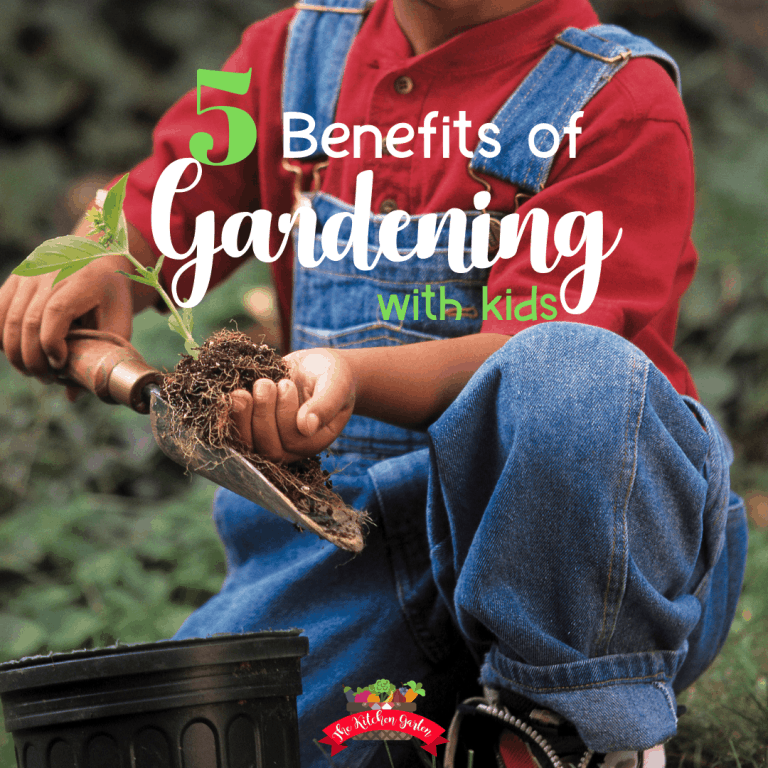 5 benefit of gardening with kids