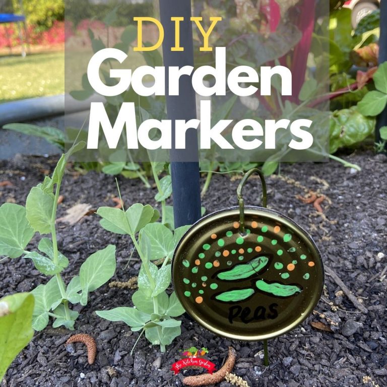 vegetable garden marker in garden