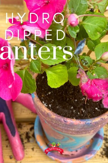 hydro dipped planters with pink flowers