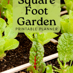 free square foot garden planner