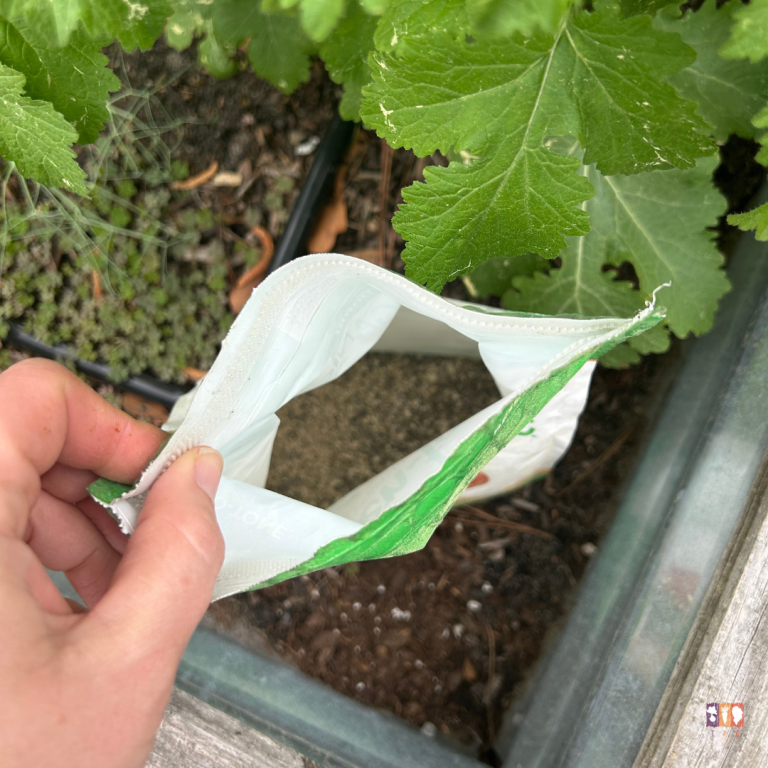 best time of day to fertilize the garden