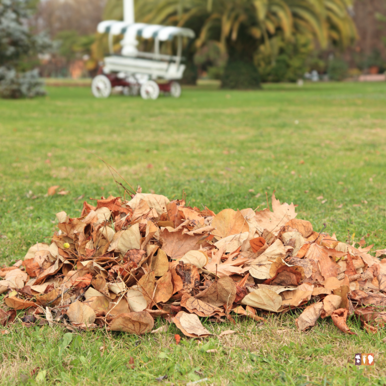 how to use fall leaves in the garden