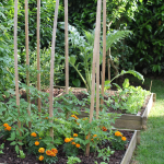 10 vertical gardening ideas